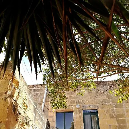 Gozo Says Relax *